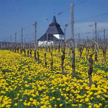 Weingut & Gastehaus Bernhard Eifel