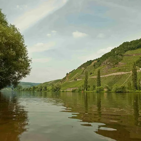 Konukevi Weingut & Gastehaus Bernhard Eifel